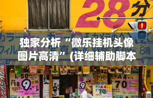 独家分析“微乐挂机头像图片高清”(详细辅助脚本)