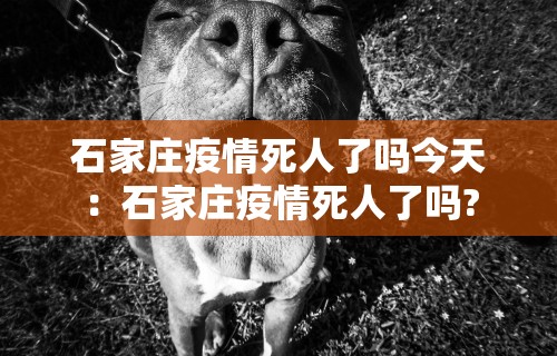 石家庄疫情死人了吗今天：石家庄疫情死人了吗?