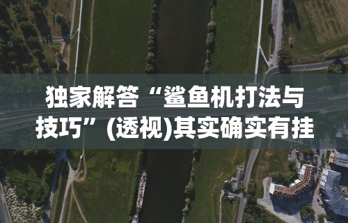 独家解答“鲨鱼机打法与技巧	”(透视)其实确实有挂