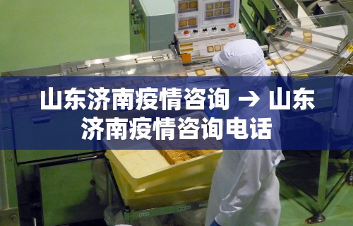 山东济南疫情咨询 → 山东济南疫情咨询电话