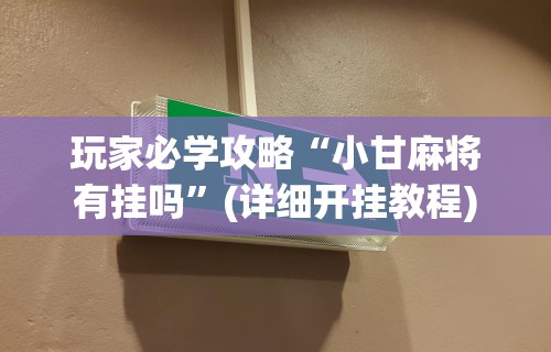 玩家必学攻略“小甘麻将有挂吗”(详细开挂教程)