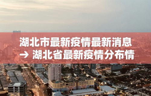 湖北市最新疫情最新消息 → 湖北省最新疫情分布情况