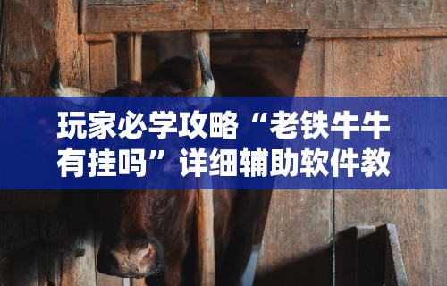 玩家必学攻略“老铁牛牛有挂吗”详细辅助软件教程