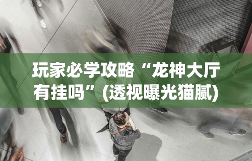 玩家必学攻略“龙神大厅有挂吗”(透视曝光猫腻)
