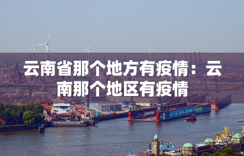 云南省那个地方有疫情：云南那个地区有疫情