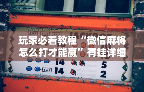 玩家必看教程“微信麻将怎么打才能赢”有挂详细开挂教程
