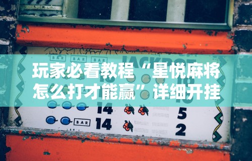玩家必看教程“星悦麻将怎么打才能赢”详细开挂安装教程