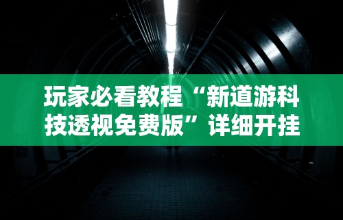 玩家必看教程“河北微乐麻将技巧”附开挂脚本详细步骤