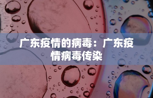 广东疫情的病毒：广东疫情病毒传染