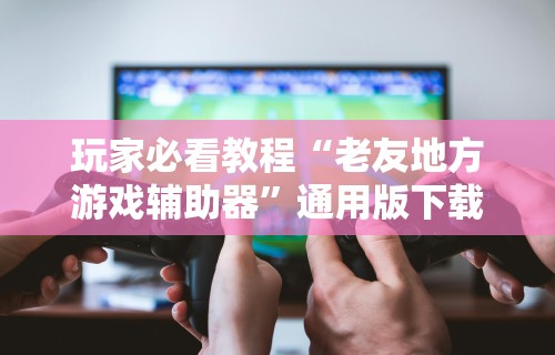 玩家必看教程“老友地方游戏辅助器”通用版下载教程