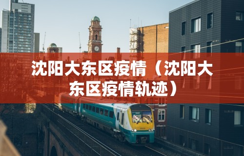 沈阳大东区疫情（沈阳大东区疫情轨迹）
