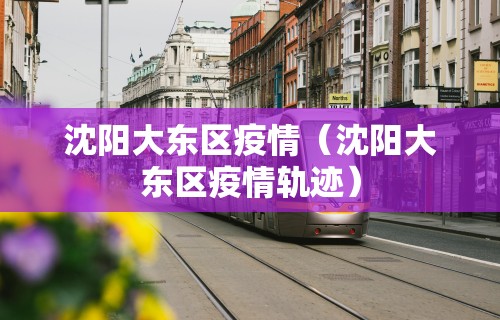沈阳大东区疫情（沈阳大东区疫情轨迹）