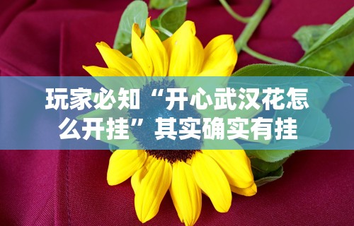 玩家必知“开心武汉花怎么开挂”其实确实有挂