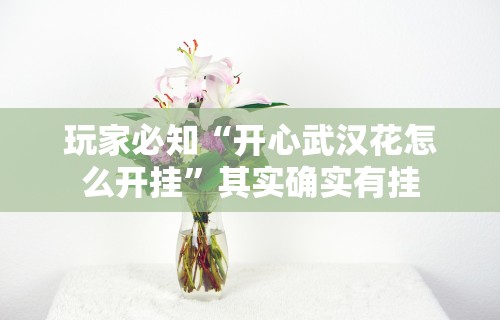 玩家必知“开心武汉花怎么开挂	”其实确实有挂