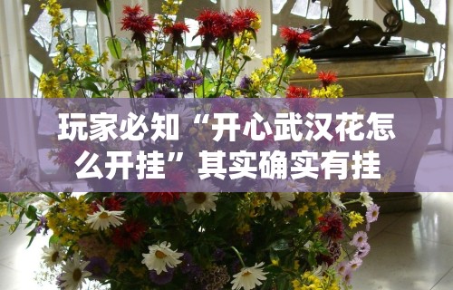 玩家必知“开心武汉花怎么开挂”其实确实有挂