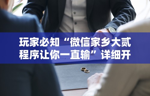 玩家必知“微信家乡大贰程序让你一直输	”详细开挂玩法