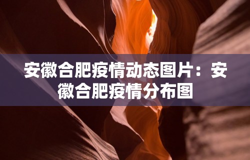 安徽合肥疫情动态图片：安徽合肥疫情分布图