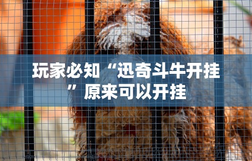 玩家必知“迅奇斗牛开挂”原来可以开挂