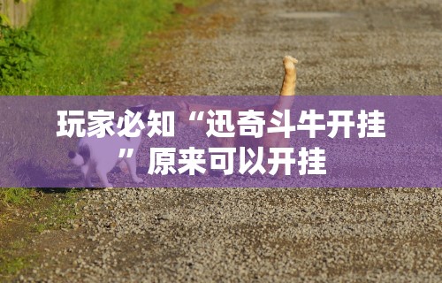 玩家必知“迅奇斗牛开挂”原来可以开挂